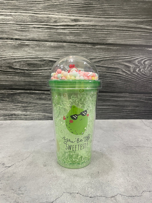 Fruit Acrylic Sipper