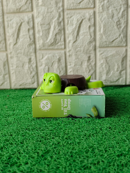 Mini Coaster Tortoise